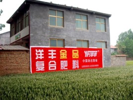 麻江如何让墙体广告展现最大化效果